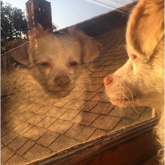 Meet your Posher, Sara - Picture 6 of 16